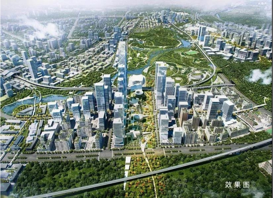 深圳湾口岸约车服务