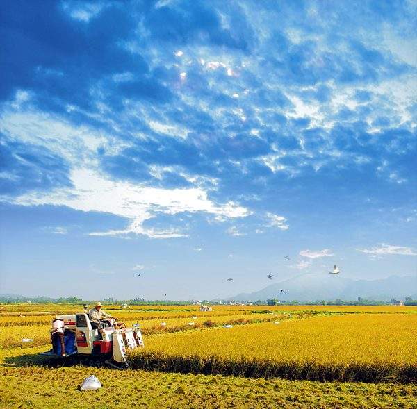 惠州机场预约车接送